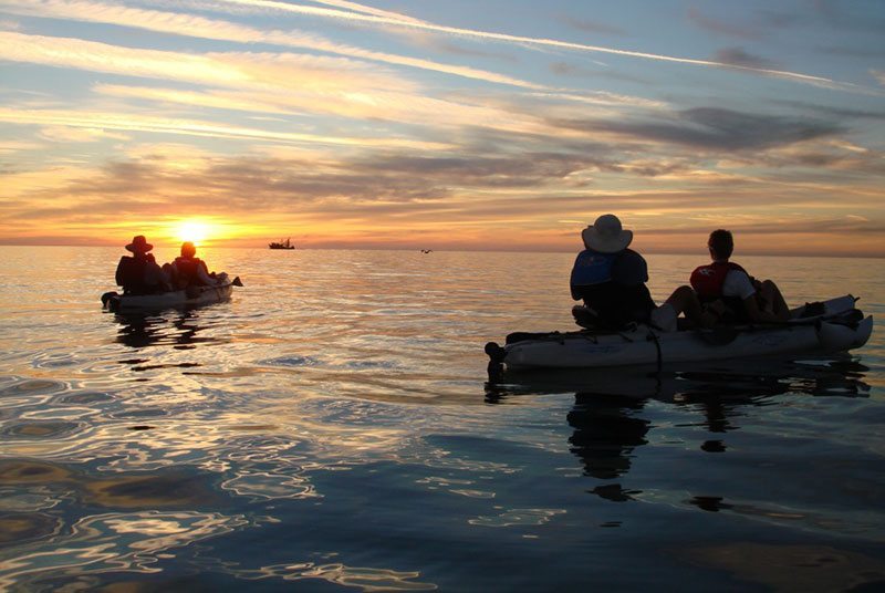 Rocky Point Kayaking