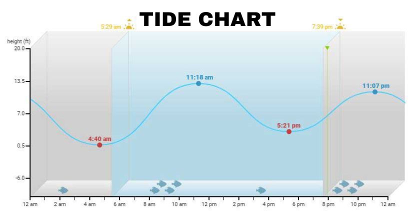 rocky point tide chart