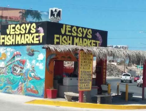Best Fresh Seafood in Puerto Penasco