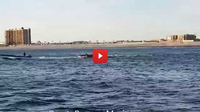 Puerto Penasco banana boat rides