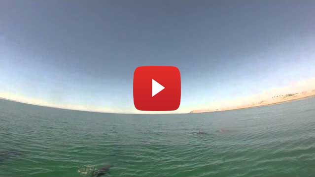 Puerto Penasco paddle boarding